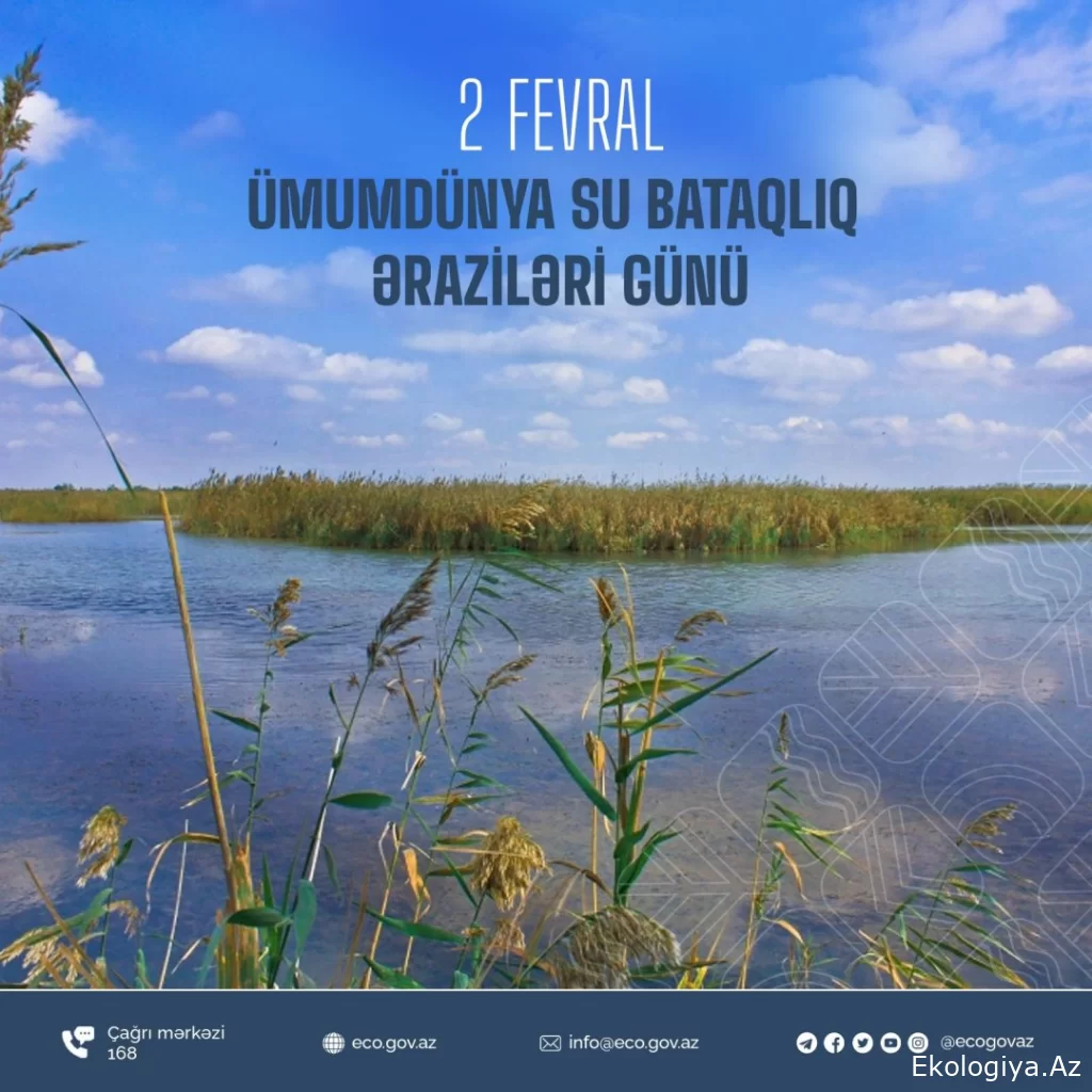 2 fevral Ümumdünya Su-Bataqlıq Əraziləri Günüdür
