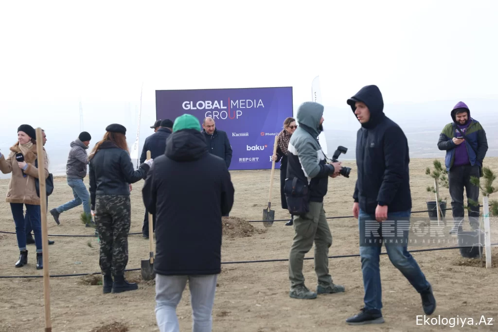 "Global Media Group"un təşəbbüsü təqdir olunur: Yaşıllığın qorunması olduqca vacibdir