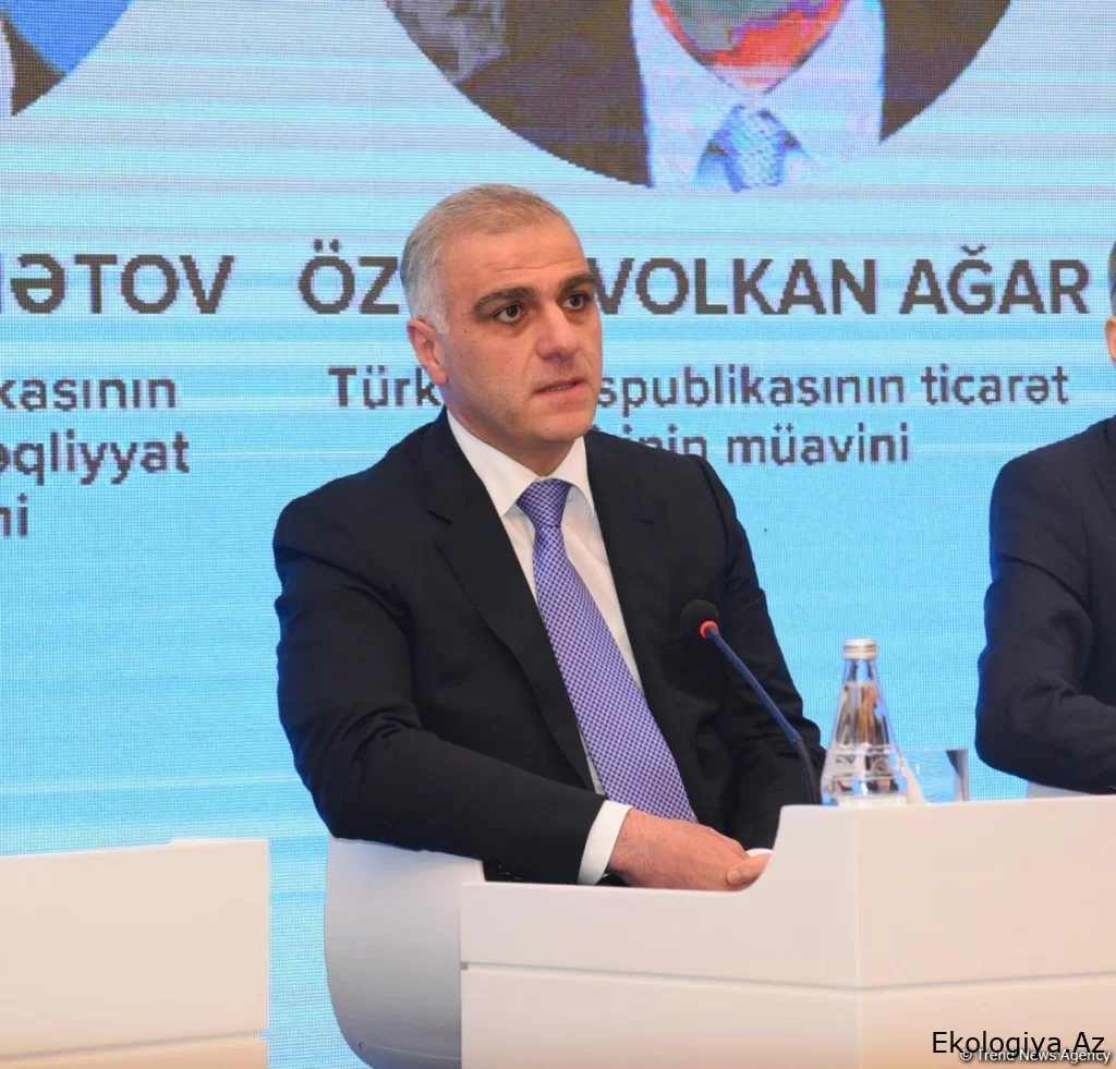 Azərbaycan Orta Dəhlizin inkişafı üçün güclü siyasi iradəyə malikdir - Nazir müavini