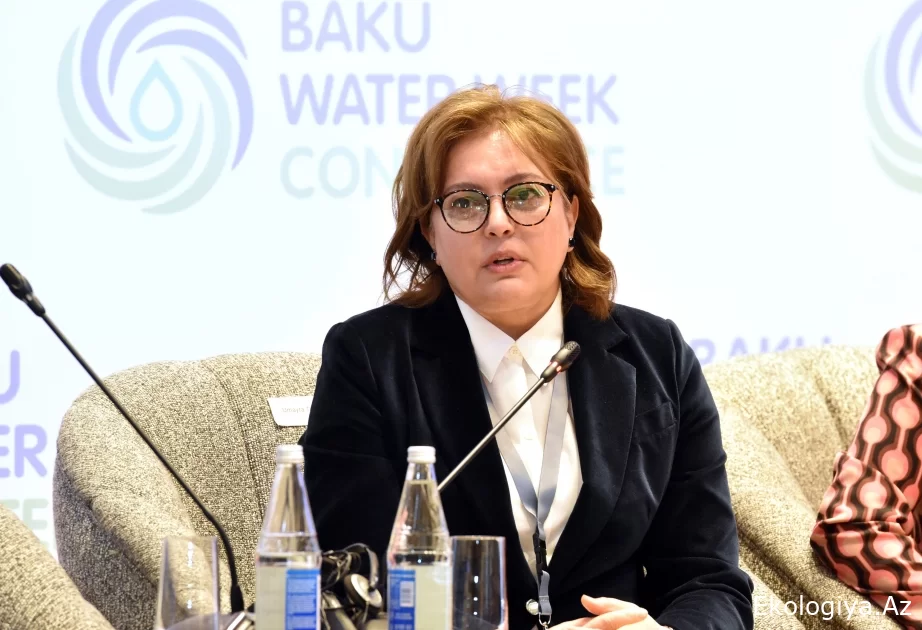 Azərbaycan COP29-da su ilə bağlı problemi iştirakçı dövlətlər qarşısında qaldıracaq