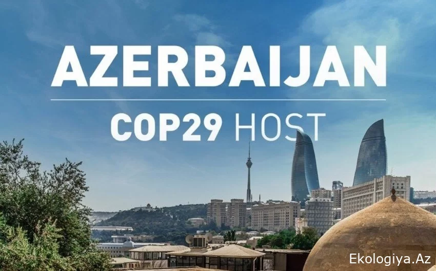 Təşkilat komitəsinin üzvü: Azərbaycanda COP29-un keçirilməsi üçün hər cür şərait var