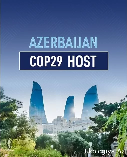 COP29 Azərbaycanın təşəbbüs göstərdiyi 18-ci DİM-in təşviqinə yardım edəcək - Sahib Məmmədov