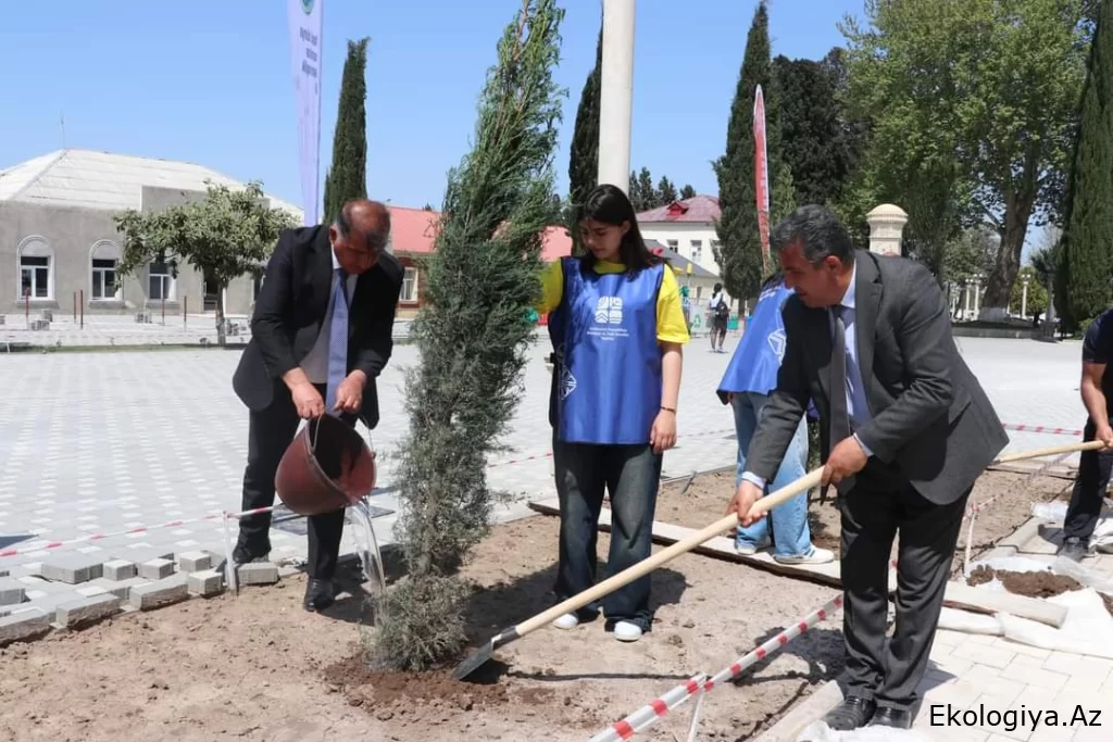Yaşıl dünya naminə həmrəylik ili” çərçivəsində Samuxda ağacəkmə və təmizlik aksiyası keçirilib