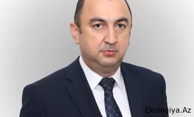 Nazir müavini: Son beş ildə Azərbaycanda meşə yanğınlarının sayında azalma müşahidə edilir