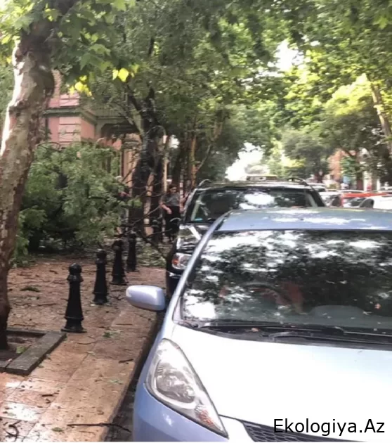 Güclü yağışlar Gürcüstanda ciddi problemlər yaradıb