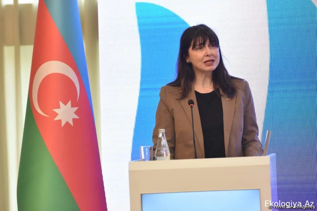 COP29-da 4 prioritet məsələ müzakirə olunacaq - Vladanka Andreyeva