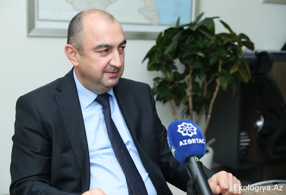 Nazir müavini: “Yaşıl dünya naminə həmrəylik ili”ndə 5 milyon ağacın əkilməsinə nail olacağıq – MÜSAHİBƏ