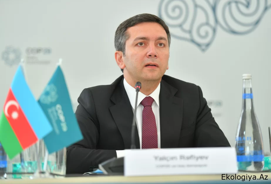 Yalçın Rəfiyev: Azərbaycanın əsas məqsədi COP hədəflərinə nail olmaq üçün hərəkətə keçmək və daha da irəliləməkdir
