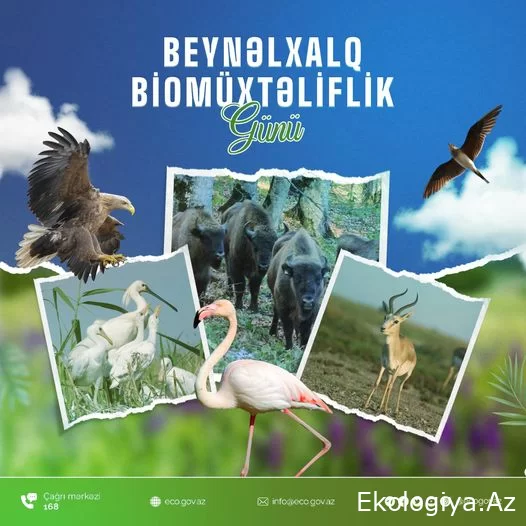 Bu gün Beynəlxalq Biomüxtəliflik Günüdür