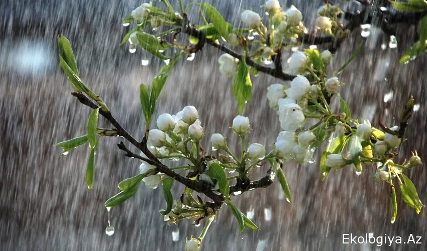 Yağıntılı və soyuq hava BU TARİXƏDƏK davam edəcək