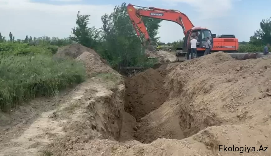 Taxıl sahəsini tən ortasından qazıb boruları çıxarırlar – Bərdədə nə baş verir? - FOTO