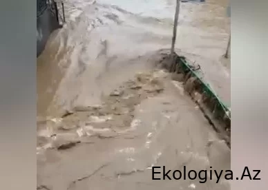 Sel suları Ermənistanda itkilərə səbəb olub - Nazir açıqladı