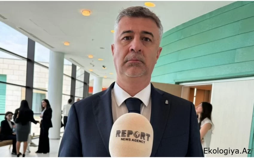 Səfir: Macarıstan Azərbaycan-Aİ “yaşıl enerji” dəhlizinə böyük əhəmiyyət verir