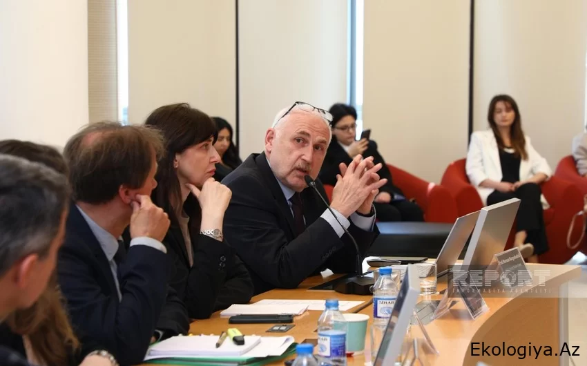 Professor: Regional əməkdaşlıq iqlim dəyişikliyinin nəticələrini azaltmağa kömək edəcək