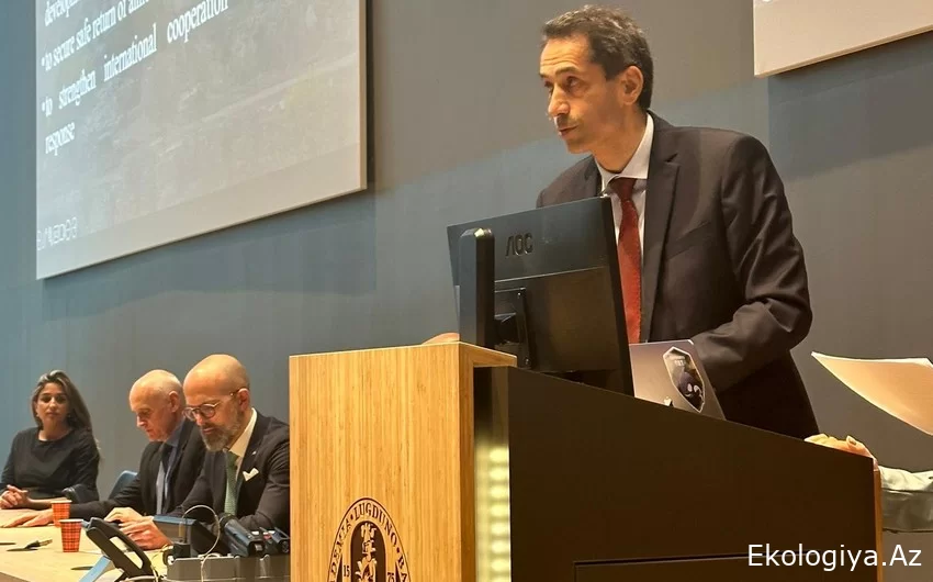 Səfir: Beynəlxalq ictimaiyyət mina probleminin həllində Azərbaycana kifayət qədər dəstək vermir
