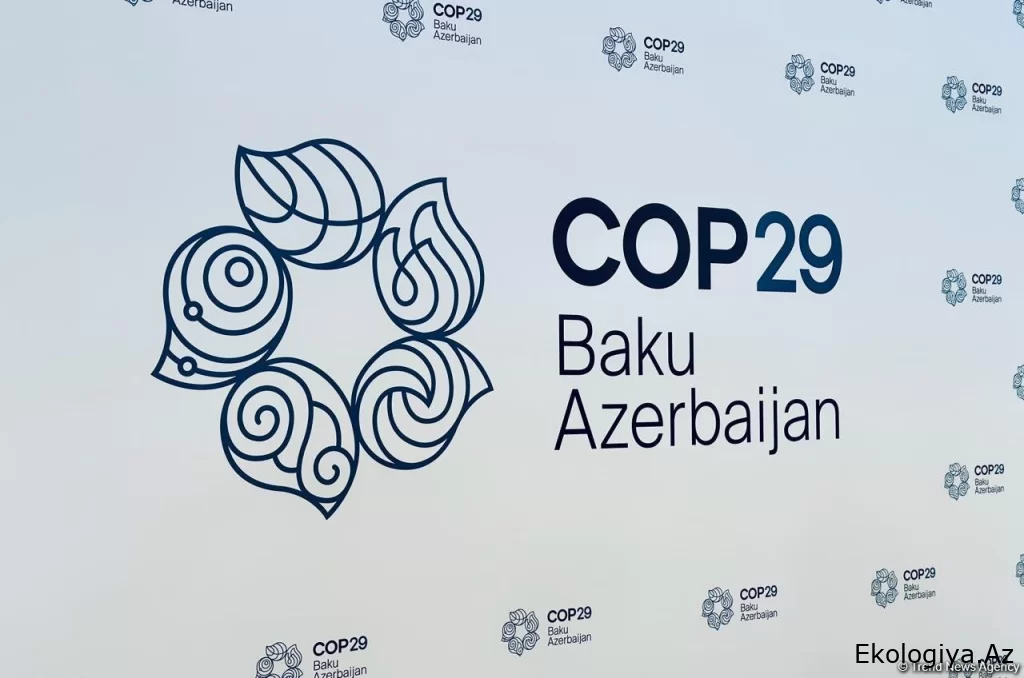 AİB artıq Azərbaycana COP29 üzrə texniki yardım göstərməyə başlayıb - Baş direktor