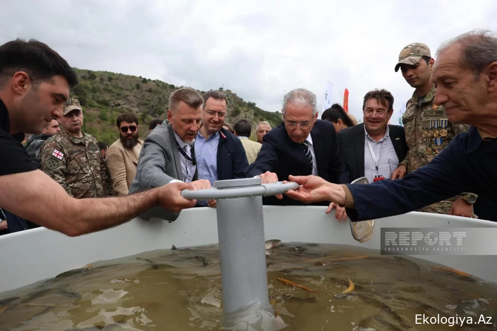 Xarici diplomatlar və hərbi attaşelər Laçında Həkəri çayına balıq körpələri buraxıblar - FOTO