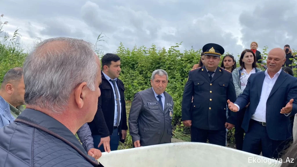 Beynəlxalq Biomüxtəliflik Günündə su hövzəsinə balıq körpələri buraxılıb - FOTO