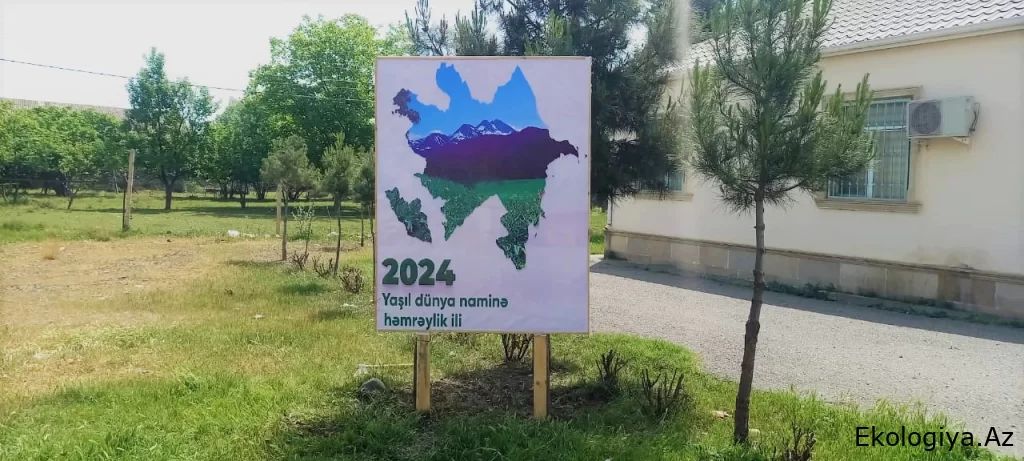 Tərtər rayonunda “Yaşıl dünya naminə həmrəylik ili” ilə bağlı bannerlər quraşdırılıb - FOTO