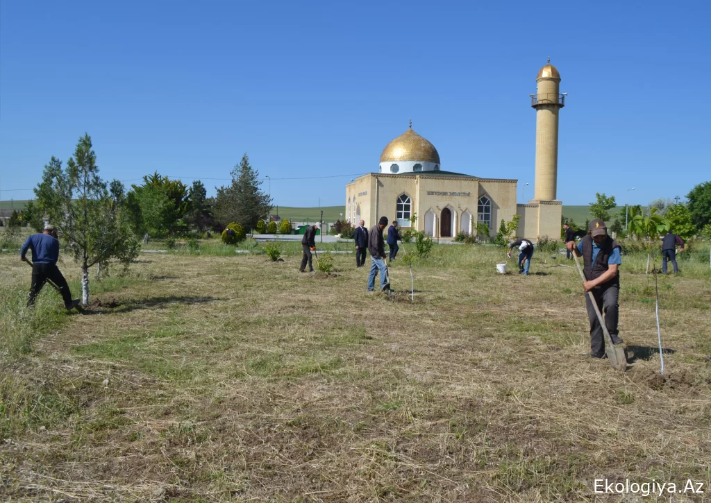 “Yaşıl gələcək naminə” aksiyası davam etdirilir (FOTO)