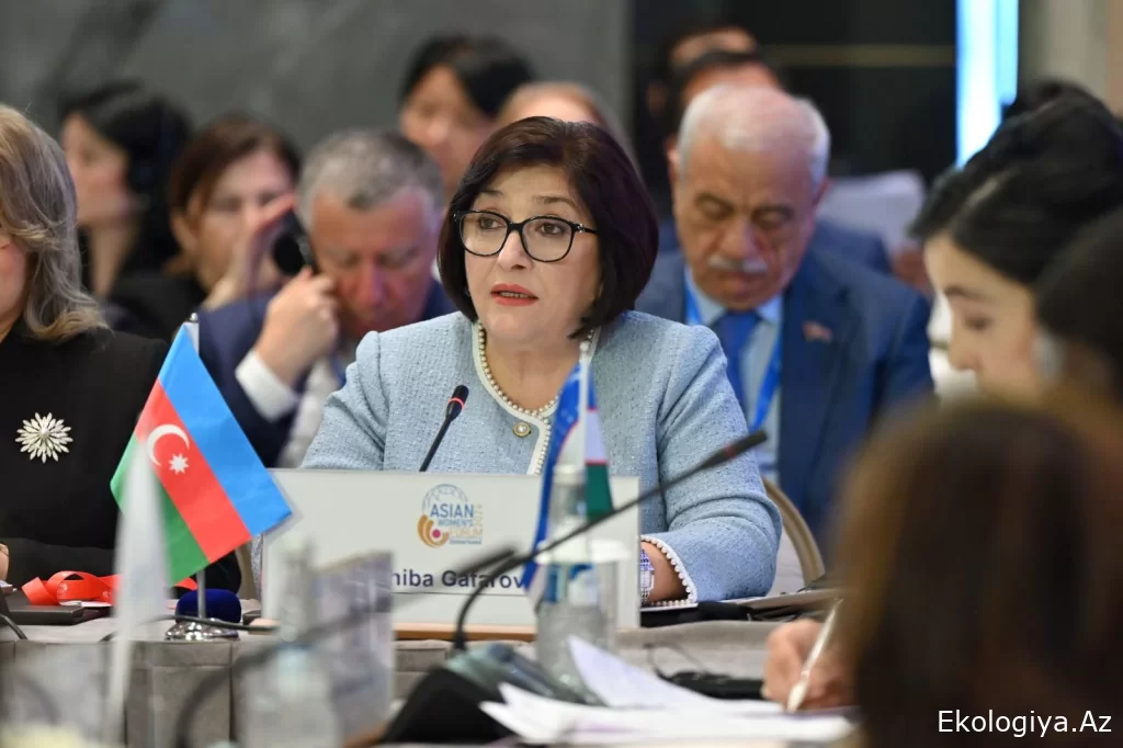 Sahibə Qafarova Asiya Qadınlar Forumunda COP29 barədə danışıb