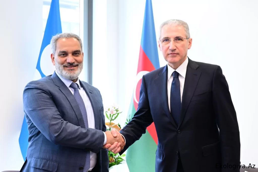 OPEC COP29 ərəfəsində yüksək səviyyəli dialoq keçirəcək