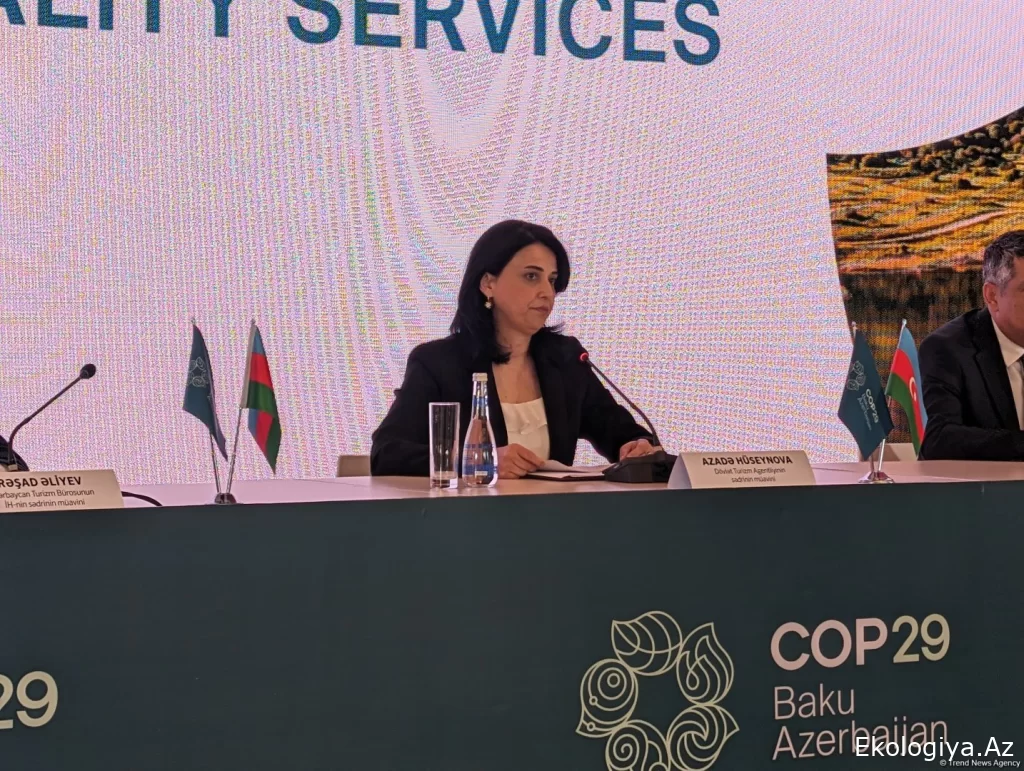 COP29-un Baş danışıqçısı Tokioda tədbirdə iştirak edib