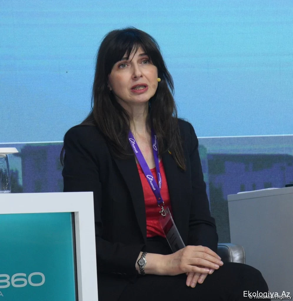 BMT COP29-dan mühüm nəticələr gözləyir - Vladanka Andreyeva