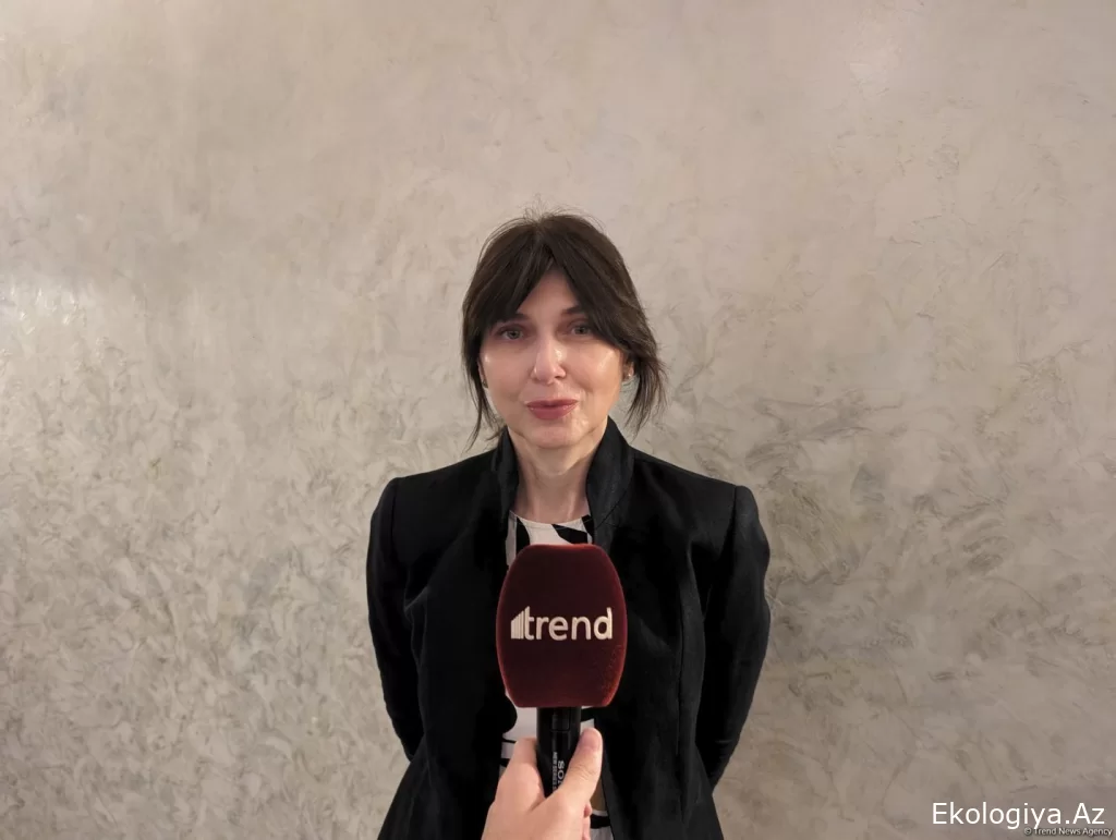 BMT COP29 çərçivəsində konkret tədbirlərin təmin olunması üçün Azərbaycana dəstək göstərir - Vladanka Andreyeva