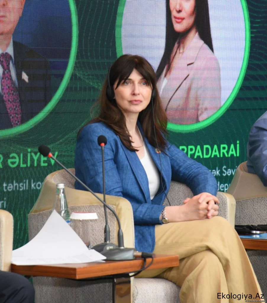 COP29-a hazırlıq olduqca səmərəli şəkildə irəliləyir - Vladanka Andreyeva