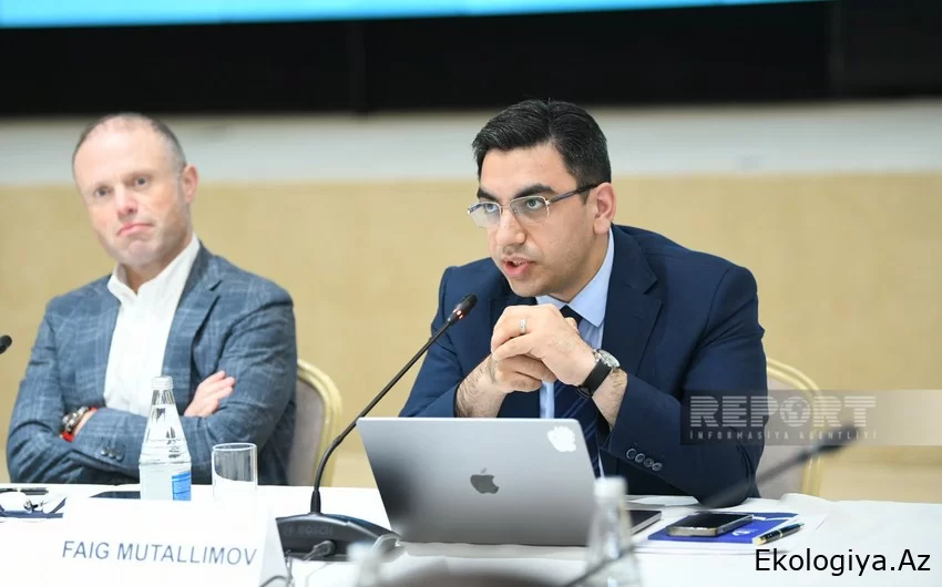 Faiq Mütəllimov: Azərbaycan yaşıllaşdırma ilə bağlı genişmiqyaslı təşəbbüslər irəli sürüb