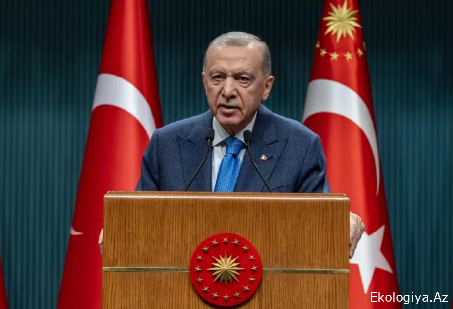 Ərdoğan dövlətləri ekoloji sahədə beynəlxalq əməkdaşlığa çağırıb