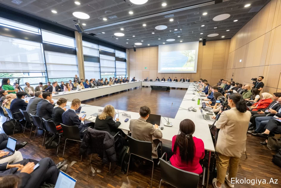 Azərbaycanın COP29-da “Sülh və iqlim qovşağı” mövzusuna diqqəti BMT-nin İqlim Konfransında təqdirlə qarşılanıb