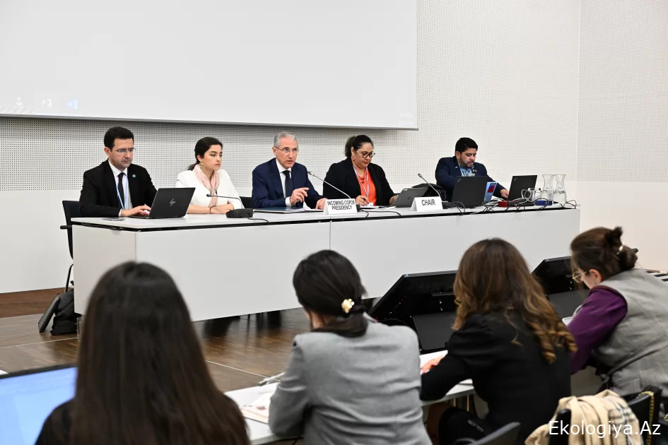 COP29 sədri Bonnda SIDS üzrə danışıqlar qrupu ilə görüşüb