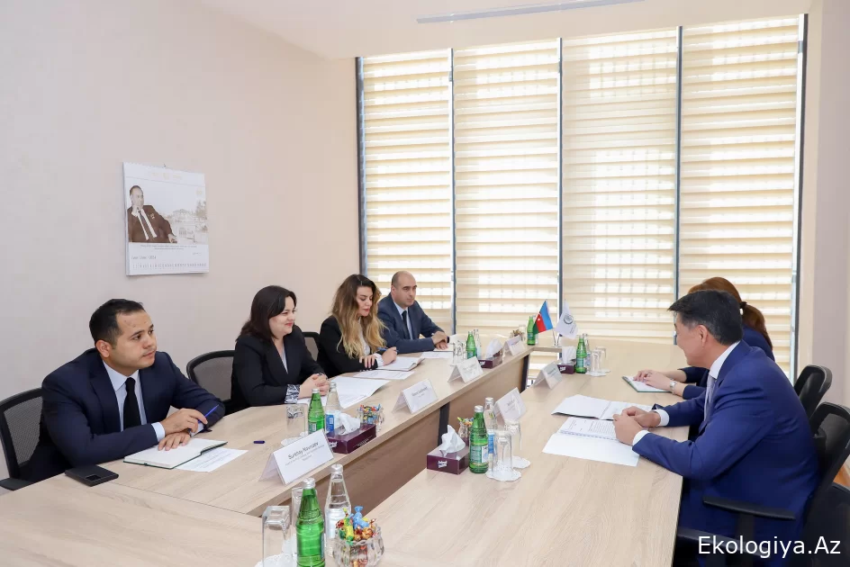 IOFS COP29 çərçivəsində Azərbaycanda keçiriləcək tədbirlərə dəstək verməyə hazırdır
