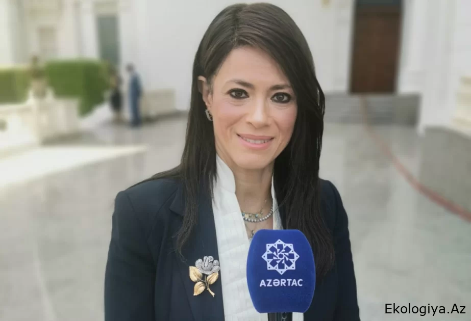 Misirin beynəlxalq əməkdaşlıq naziri: COP29-da fəal iştirakımızı səbirsizliklə gözləyirik