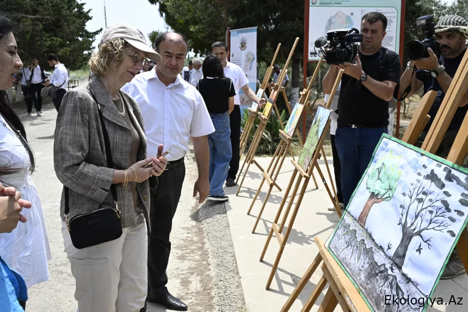 İnger Anderson Şirvan Milli Parkında ceyran sürüsünü müşahidə edib - FOTO