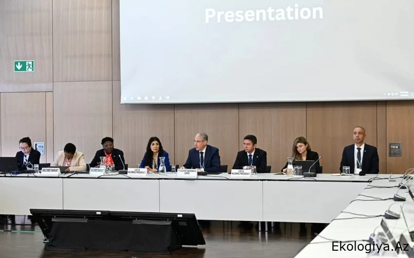 COP29 prezidenti Muxtar Babayev Rusiya və Türkiyə nümayəndələri ilə görüşüb