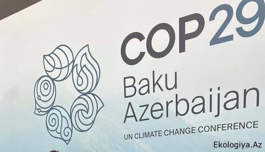 COP29 çərçivəsində dini liderlərin toplantısının keçirilməsi üçün birgə işlər aparılır