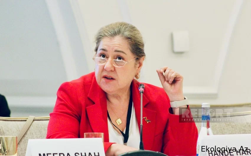 ÜST nümayəndəsi: COP29 qlobal qərarların qəbulu baxımından mühüm hadisədir