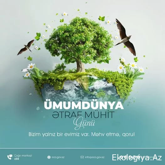 Bu gün Ümumdünya Ətraf Mühit Günüdür