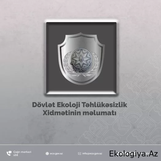 Dövlət Ekoloji Təhlükəsizlik Xidməti “İnvest.M Construction MMC”nin yaşayış binaları inşa etdiyi ərazidə ağac kəsilməsi faktı aşkarladı