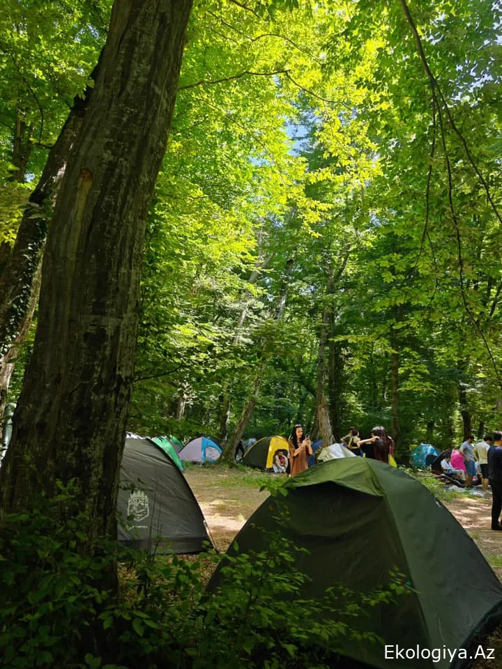 Bayram günlərində milli parkları 12348 turist ziyarət edib