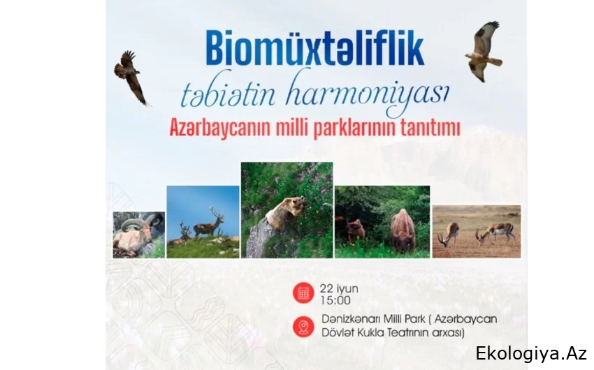 Azərbaycanın milli parklarının tanıdılmasına həsr olunan tədbir keçiriləcək
