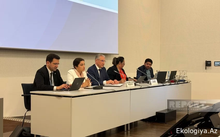 COP29 prezidenti kiçik ada dövlətləri üzrə Danışıqlar Qrupunun nümayəndələri ilə görüşüb