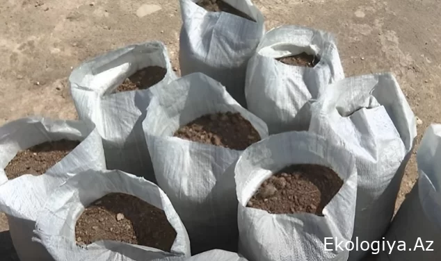 Bakıda, Şamaxı və İsmayıllıdan  gətirildiyi deyilən, yol kənarlarında kisələrdə satılan torpaqları KİMLƏR NECƏ BİZNESƏ ÇEVİRİB? - VİDEO