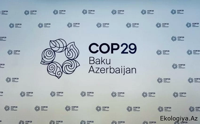 COP29 Könüllülük Proqramına qeydiyyat başa çatıb - YENİLƏNİB