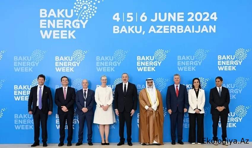 Azərbaycanın təşəbbüskarı olduğu enerji layihələrinə dəstəyin sirri etirbarlı tərəfdaş olmağındadır - FOTO