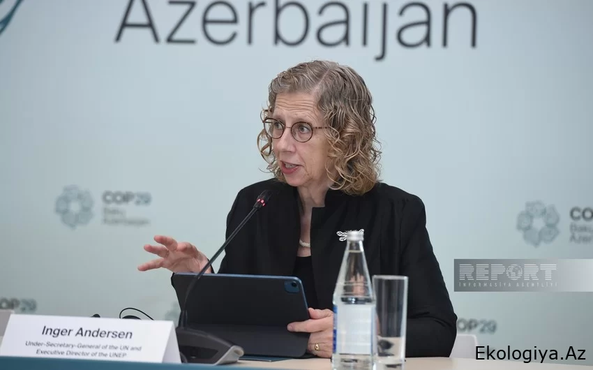 BMT rəsmisi: Biz iqlim dəyişikliklərinin təsirini araşdırıb müzakirələr aparmışıq