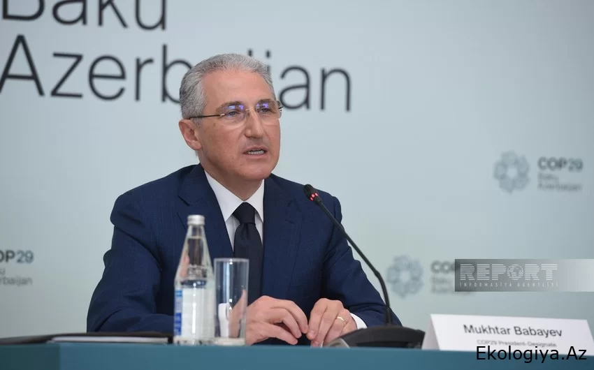 Azərbaycan və UNEP ətraf mühitin mühafizəsi ilə bağlı birgə layihələr həyata keçirəcək